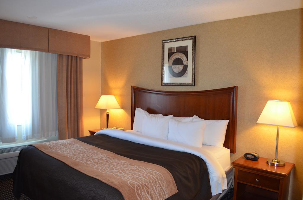 Comfort Inn & Suites Vancouver Downtown City Center Buitenkant foto