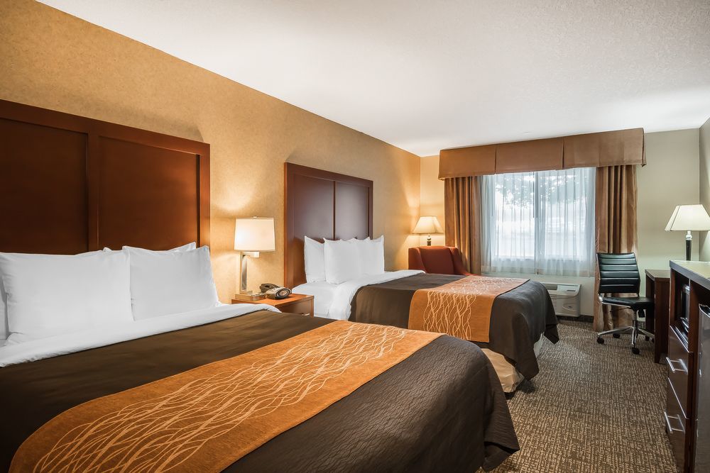 Comfort Inn & Suites Vancouver Downtown City Center Buitenkant foto