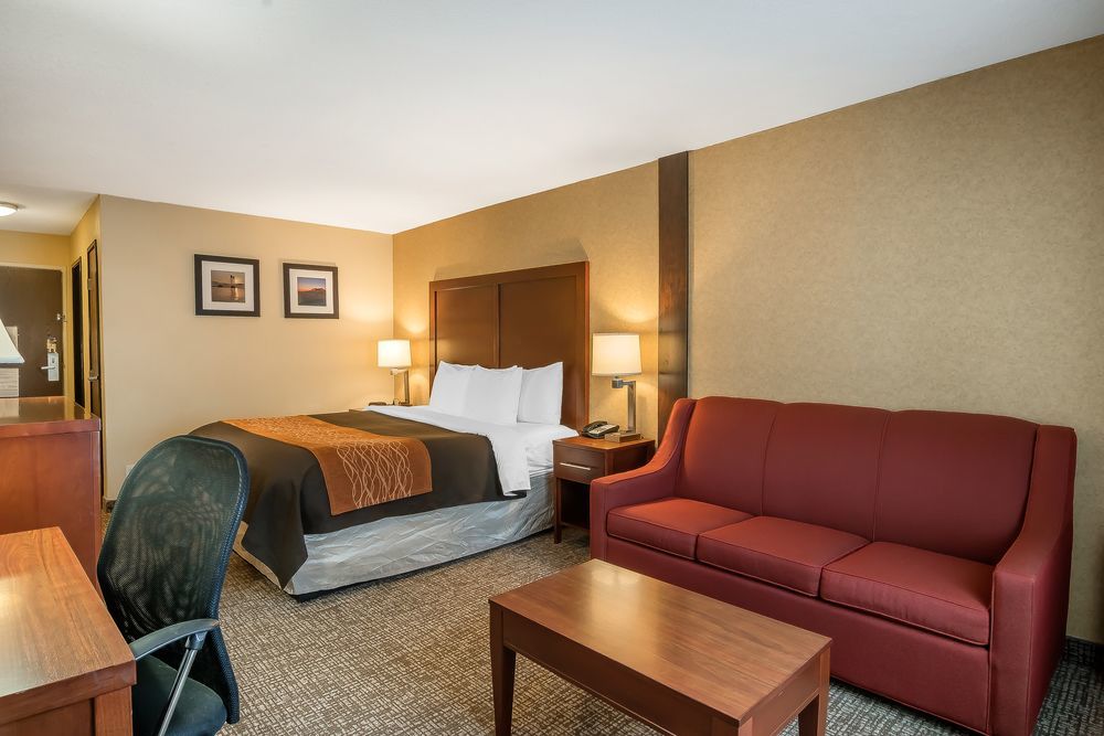 Comfort Inn & Suites Vancouver Downtown City Center Buitenkant foto
